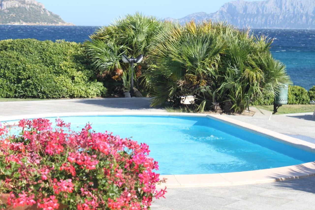 Apartment In S'Abba E Sa Pedra With Pool غولفو أرانتْشي المظهر الخارجي الصورة